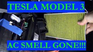 Tesla Model 3 AC Smell Gone  How to Clean Your AC Evaporator  PART II -2021