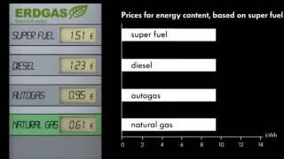 Volkswagen Passat 1 4 TSI EcoFuel