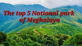 The top 5 National park of Meghalaya