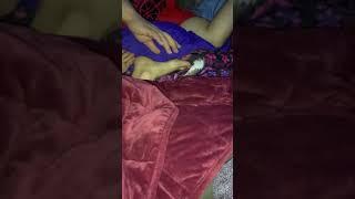 Foot Twitch for Massage