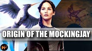 Origin of the Mockingjay & its Deeper Meaning in the Series Hunger Games Explained