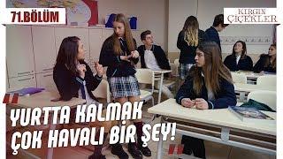 Havası sönmeyen Defne - Kırgın Çiçekler 71.Bölüm