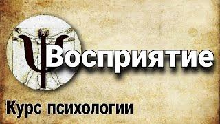 2.1 Восприятие функции психики  курс психологии