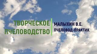 Содержимое пчелиного яйца - это трансформированное маточное молочко.