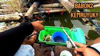 BABON2 PADA NGUMPUL DI SPOT INI‼️FULL TRIP CATCH AND COOK  mancing ikan red devil NAHOL MANIA