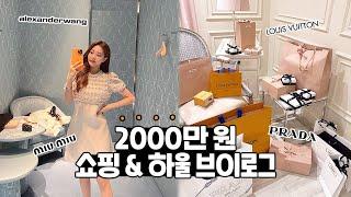 800만 원짜리 공주님 원피스 보러오세요 쇼핑하울 VLOG + 구독자 명품선물 이벤트 미우미우 루이비통 프라다알렉산더왕 2000만 원 하울