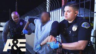 Live PD Assault at a Burger Joint Season 4  A&E