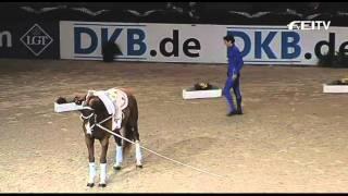 FEI World Cup Vaulting - Munich Top 3 Males