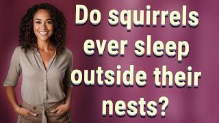 Do squirrels ever sleep outside their nests?