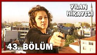 Yılan Hikayesi 43.Bölüm - FULL BÖLÜM