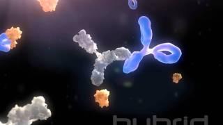 Anti-drug antibodies