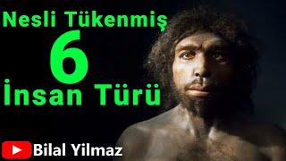 Nesli Tükenmiş 6 İnsan Türü