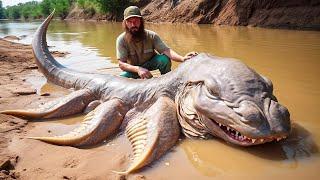 Die 20 größten jemals gefangenen Flussmonster