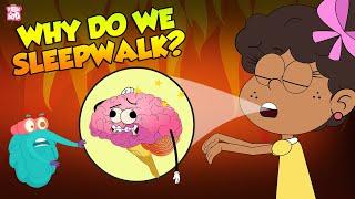 SLEEPWALKING  Why Do We Sleepwalk?  The Dr Binocs Show  Peekaboo Kidz