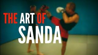 THE ART OF SANDA  Kicking - Throwing - Sweeping