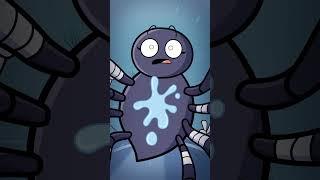 The Itsy-Bitsy Spiders