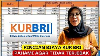 RINCIAN PINJAMAN KUR BANK BRI  TERBARU SYARAT LENGKAP PENGAJUAN KUR BRI PROSES PENCAIRAN KUR BRI