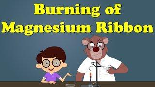 Burning of Magnesium Ribbon Experiment  #aumsum #kids #science #education #children