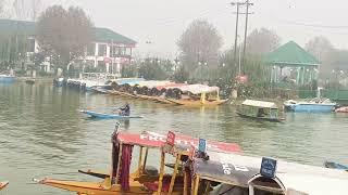 beautiful  Dal Lake