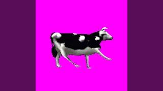 Dancing Polish Cow