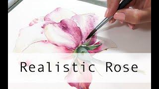 Realistische Rosenmalerei im Aquarell