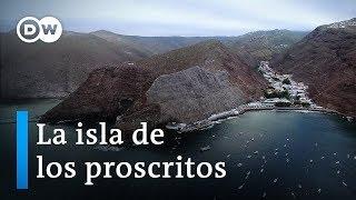 Rumbo a la mítica isla de Santa Elena  DW Documental