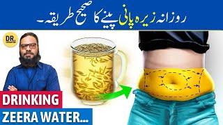 Hardin JEERA WATER Peene Ke Fayde  Cumin Seeds Water Benefits  Dr. Ibrahim