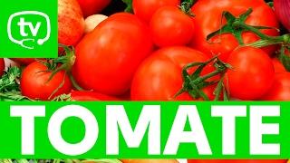 El tomate y sus propiedades nutritivas