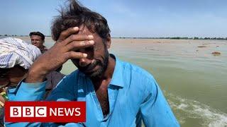 Pakistan floods Time running out for families in Sindh - BBC News