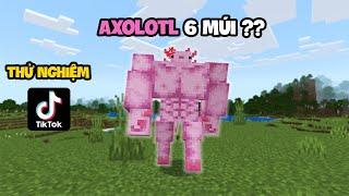 Thử Nghiệm Video TikTok Minecraft TRIỆU VIEW #2 - Axolotl 6 Múi ??