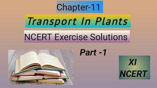Chapter-11#NCERT Exercise Solutions#11th Biology.
