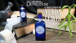 Crushed Yerba Leaves  DIY Potion Prop  Fantastic Beasts & Where to Find Them Secrets of Dumbledore