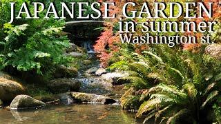 JAPANESE GARDEN in Washington state SUMMER