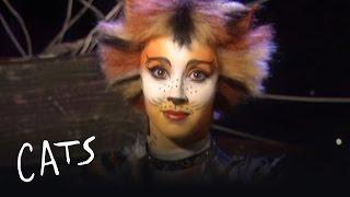 Munkustrap Mungojerrie and Rumpleteazer - Behind the Scenes  Cats the Musical
