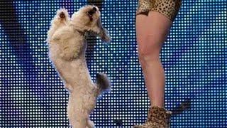Ashleigh and Pudsey - Britains Got Talent 2012 audition - International version