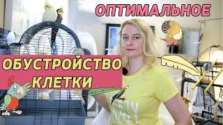 ОПТИМАЛЬНОЕ ОБУСТРОЙСТВО КЛЕТКИ ПОПУГАЯ  КАК РАЗМЕСТИТЬ ЖЕРДОЧКИ ИГРУШКИ И КОРМУШКИ В КЛЕТКЕ