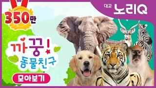 까꿍 동물친구ㅣ자연관찰ㅣ모아보기ㅣBabies&KidsㅣPikaboo Animal friendsㅣDaekyo noriQ l 대교 노리Q