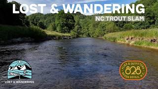 Fly Fishing for Wild Trout  Lost & Wandering - 828 Flies