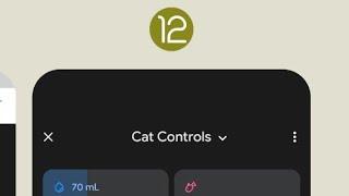 Cat Control On Android 12 Beta 5 Root