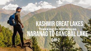 Kashmir Great Lakes  Naranag  Gangbal Lake  Trekking In Himalayas  DAY 2  Sep 2018  Kashmir 