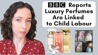 Child Labour Used To Make Perfumes Jasmine Harvest BBC Egypt Fragrances Aerin Lancome Collection