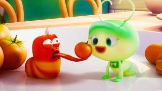 REDS LOVE   LARVA  Cartoons for Kids  WildBrain Blast