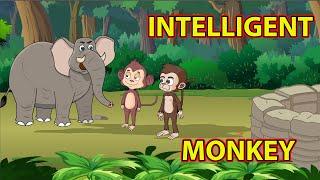 Intelligent Monkey  English Moral Story  MahacartoonTv English  English Cartoon  English Story