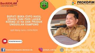 14 AGUSTUS 2023 BUPATI BUKA EXPO HASIL USAHA TANI PADI LAHAN KERING 10 HA & PRODUK UNGGULAN KAMPUNG