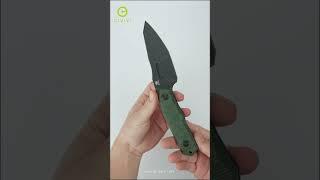 Some fixed blade you should check from CIVIVI family