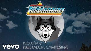 Los Temerarios - Nostalgia Campesina Animated Video