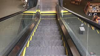 Schindler Escalators - Barnes & Noble - Americana at Brand in Glendale