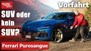 Ferrari Purosangue Ein V12-Sportler als SUV getarnt? – Fahrbericht Review  auto motor und sport