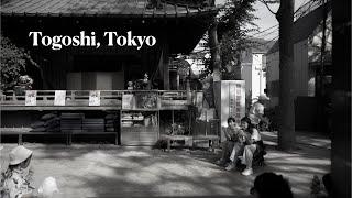 Tokyo Street Photography HDR - Togoshi in September 2023