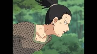 Shikamaru Subestima a Naruto y a sakura español latino